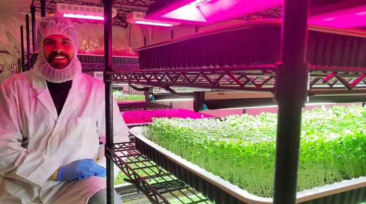 Jonathan McCausland in the grow area of Mansfield’s Big Thunder Farms with a brassica blend microgreens crop. Photo by Joseph McCausland.